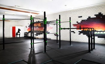 Bardogs Calisthenics Gym Zürich