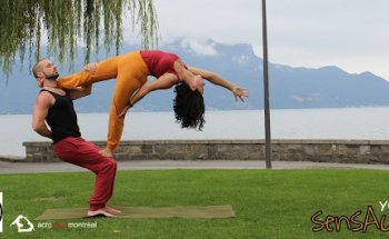 Yoga Tree