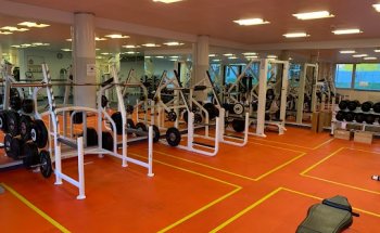 Schulthess Training