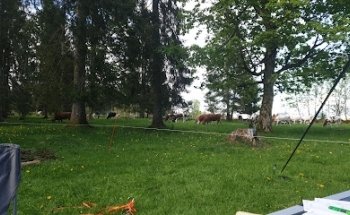 Camping Streifen