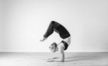 Funky Monkey - Aerial Fitness Studio