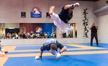 Yoseikan Budo Brig/Glis