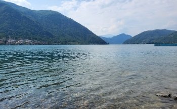 RIVA