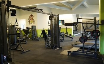 Monkey Gym Tresa