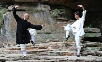 Wu Wei Tao