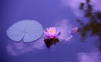 Poetic Yoga