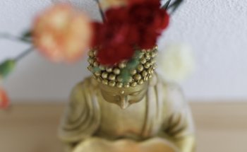 Yoga Shala
