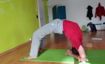 Yoga Anker