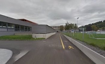 Herzyogi