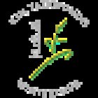 Taekwondo Winterthur