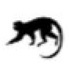 Makobo GmbH