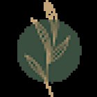 Barbara Lüscher - Yoga und Yogatherapie