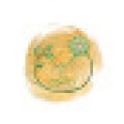 Marlen Grünenfelder