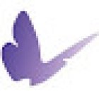 Focus Basel Praxis für Schmerztherapie und Pilates