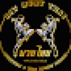 Rit Muay Thai Luzern