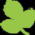 David Stefani Fitness & Massage