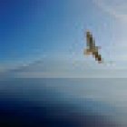 Valérie Borloz - Soin nature - chants ancestraux -médiumnité - hypnose