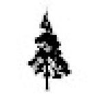 Tricademy - School of Movement GmbH