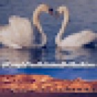 Coach Couple : comment transformer positivement ma relation ? Vevey Suisse