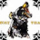 Black Bears Gym Bern