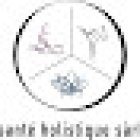 Health Holistic Sàrl