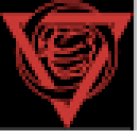 Wing Tzun MWTA St.Gallen