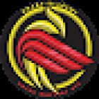 SMART-Academy swiss martial art Frauenfeld