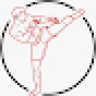 Swiss Kickboxing Academy