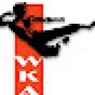 SWKA - Wing Chun Kung Fu