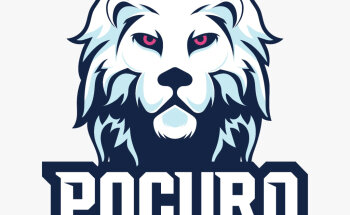 Crossfit Pocuro