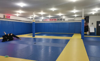 Elemental Dojo Temuco