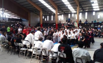 Gimnasio Juan Gomez Millas