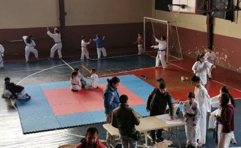 Gimnasio Municipal Teodoro Schmidt