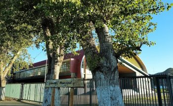 Gimnasio Municipal Chile Chico