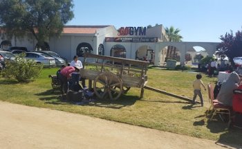 Gogym