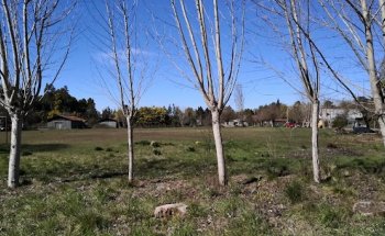 Cancha Rene Schneider