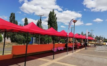 Gimnasio Olímpico Eliecer Castillo