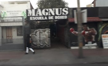 Magnum Gym