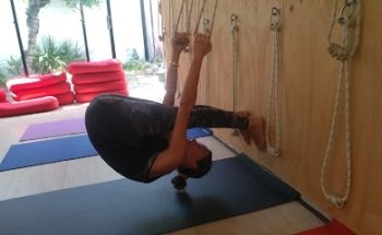 Alma Yoga