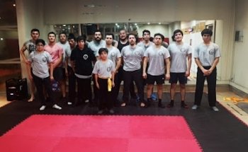 Wing Chun Kung Fu