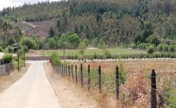 Estadio Sintetico Pichi Pellahuen