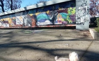 Skate Park