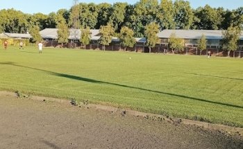 Estadio Municipal