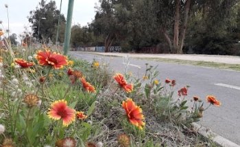 Ciclovía Las Perdices Peñalolen