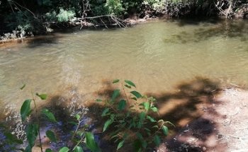Estadio Municipal Quilleco