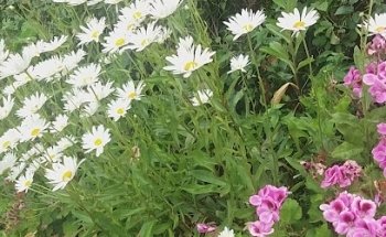 Sede deportiva Cerro Buena Vista