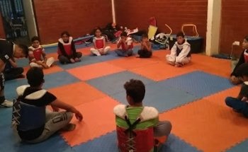 escuela dinastia kwan tkd Wt federada