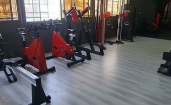 chinchorrofit