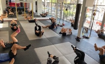 Falcon Boxing