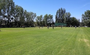 Cancha Escudo